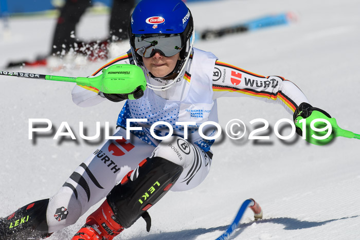 SVM U14/U16 Slalom 17.02.2019