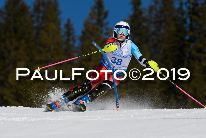 SVM U14/U16 Slalom 17.02.2019