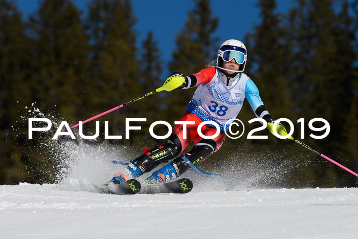 SVM U14/U16 Slalom 17.02.2019