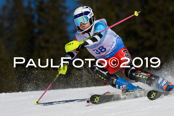 SVM U14/U16 Slalom 17.02.2019