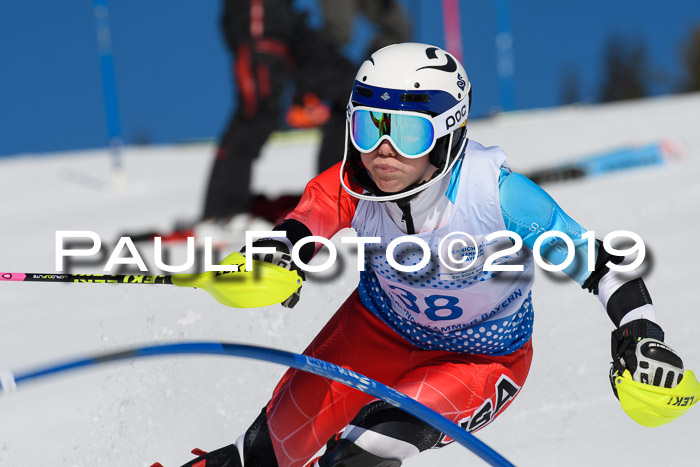 SVM U14/U16 Slalom 17.02.2019