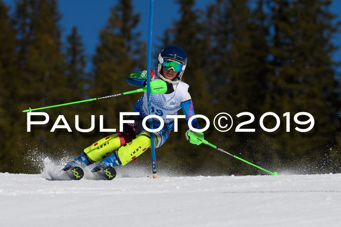 SVM U14/U16 Slalom 17.02.2019