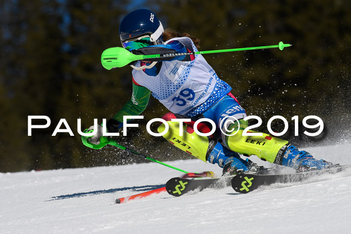 SVM U14/U16 Slalom 17.02.2019