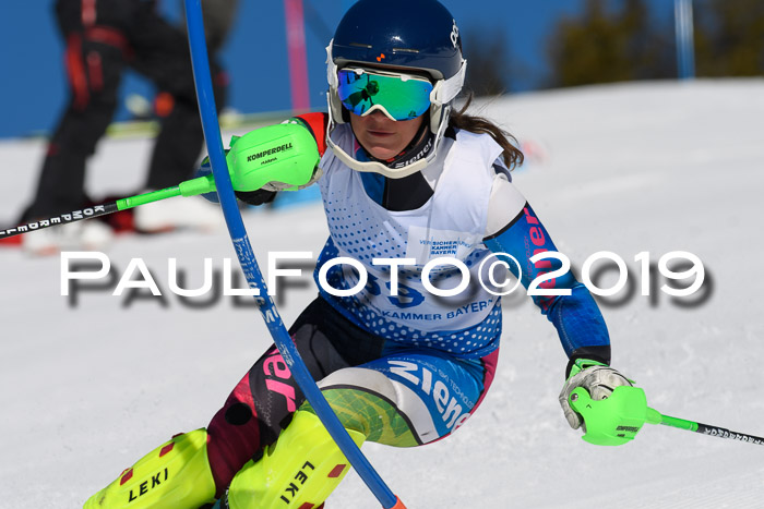 SVM U14/U16 Slalom 17.02.2019