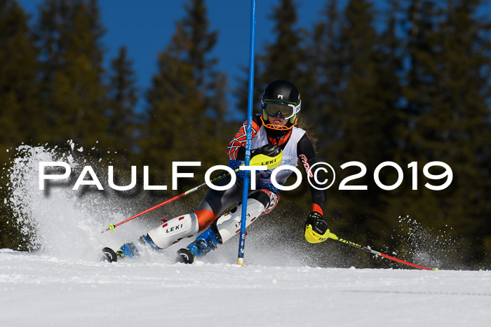 SVM U14/U16 Slalom 17.02.2019
