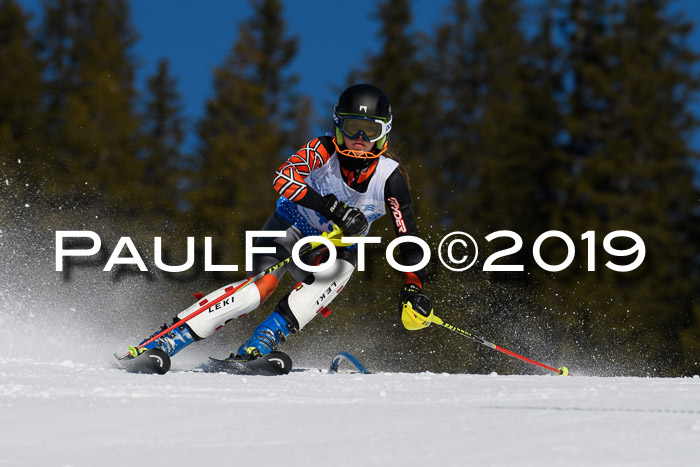 SVM U14/U16 Slalom 17.02.2019