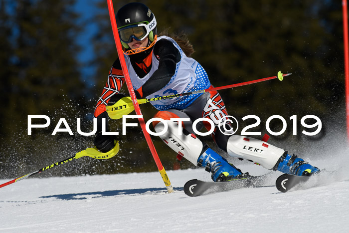 SVM U14/U16 Slalom 17.02.2019