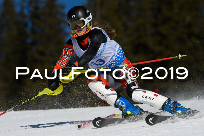 SVM U14/U16 Slalom 17.02.2019