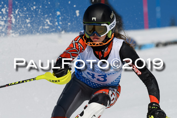 SVM U14/U16 Slalom 17.02.2019