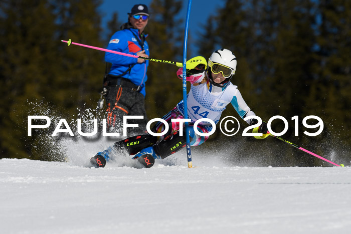 SVM U14/U16 Slalom 17.02.2019