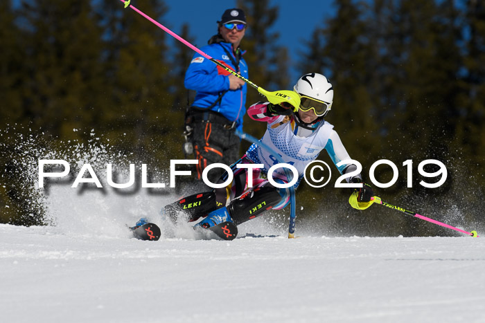 SVM U14/U16 Slalom 17.02.2019