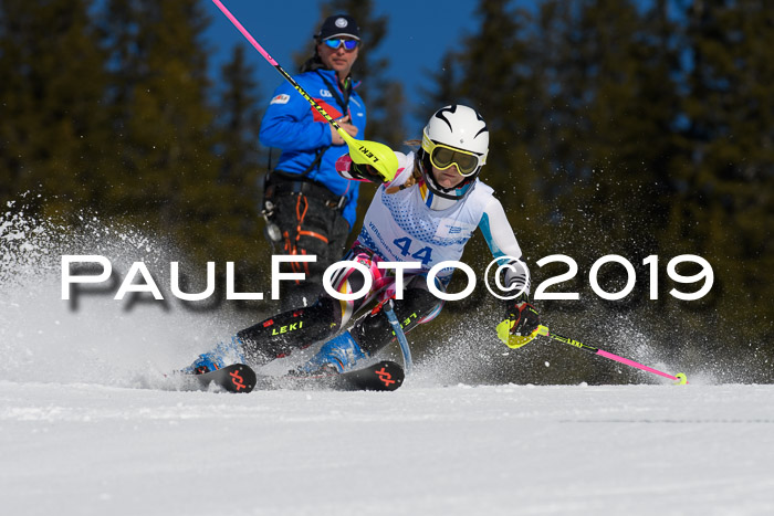 SVM U14/U16 Slalom 17.02.2019
