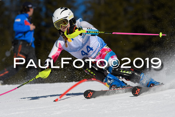 SVM U14/U16 Slalom 17.02.2019