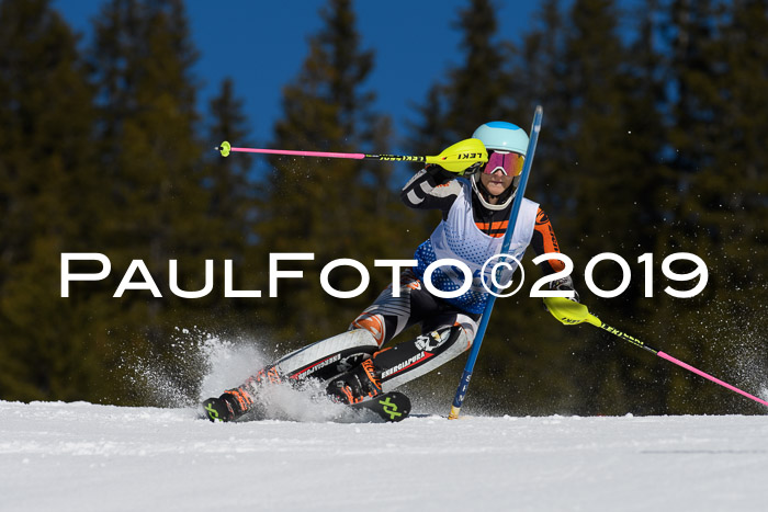 SVM U14/U16 Slalom 17.02.2019
