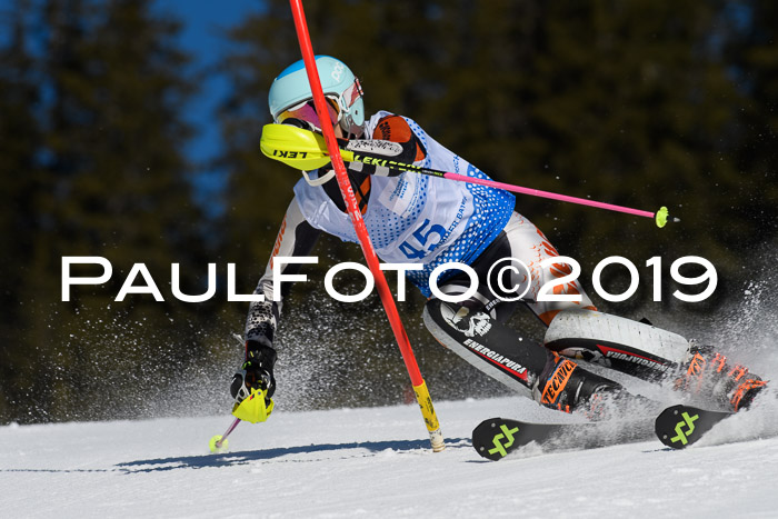 SVM U14/U16 Slalom 17.02.2019