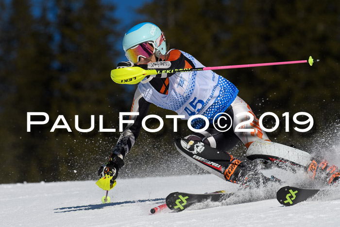 SVM U14/U16 Slalom 17.02.2019