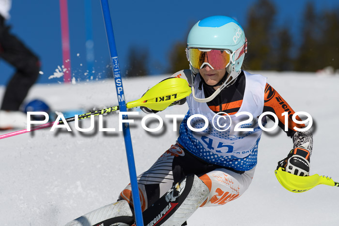 SVM U14/U16 Slalom 17.02.2019