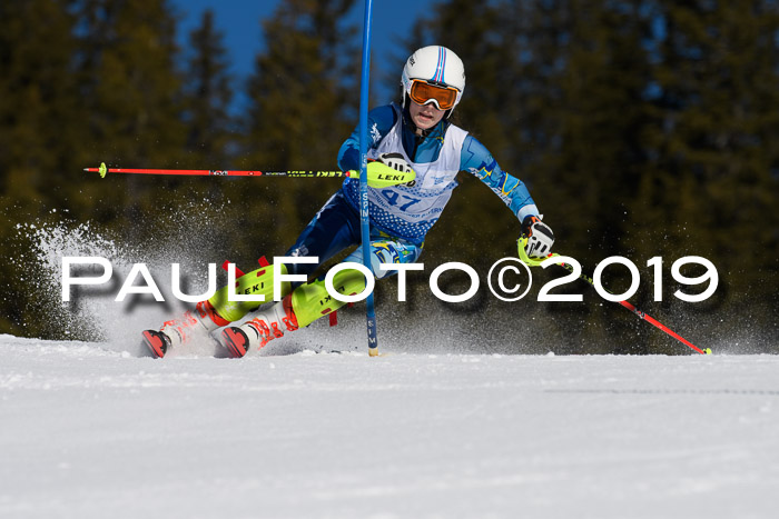SVM U14/U16 Slalom 17.02.2019