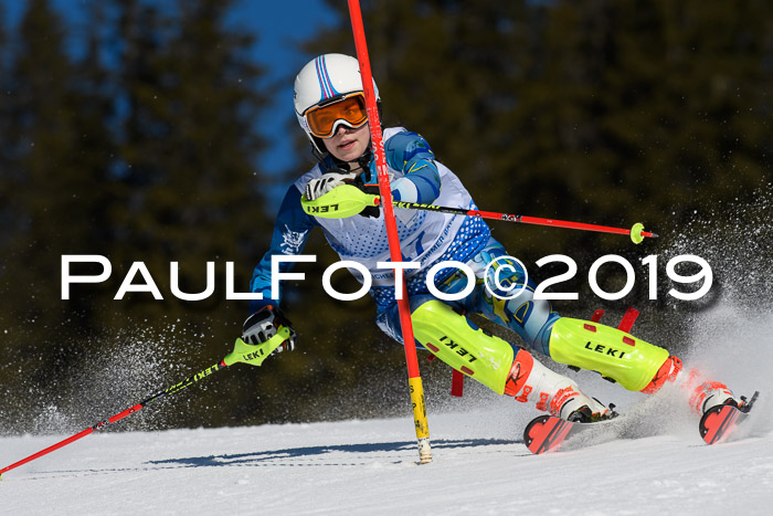 SVM U14/U16 Slalom 17.02.2019