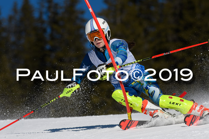 SVM U14/U16 Slalom 17.02.2019