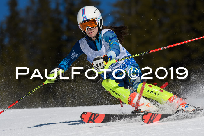 SVM U14/U16 Slalom 17.02.2019