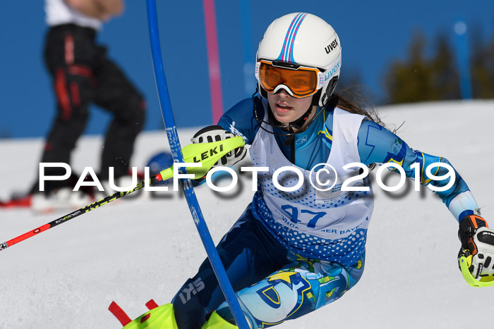 SVM U14/U16 Slalom 17.02.2019