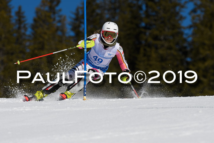 SVM U14/U16 Slalom 17.02.2019