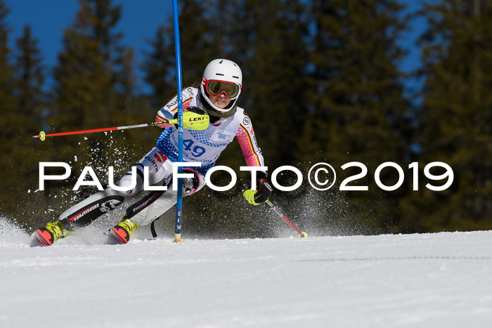 SVM U14/U16 Slalom 17.02.2019