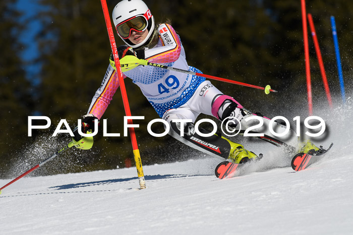 SVM U14/U16 Slalom 17.02.2019