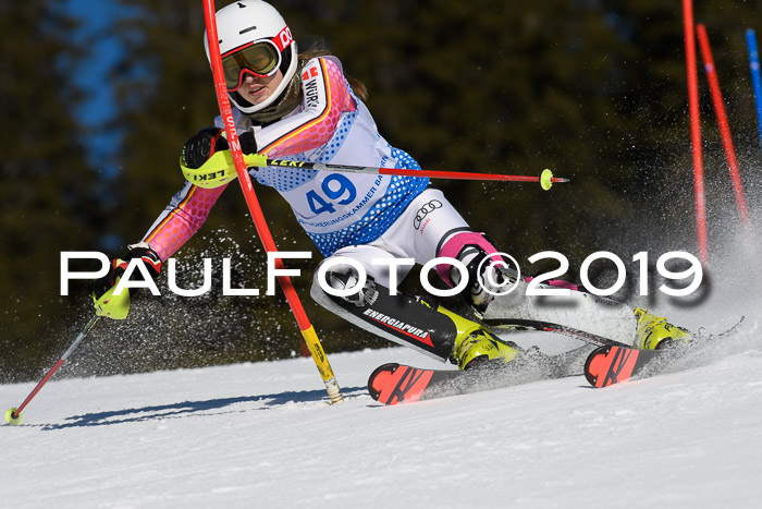 SVM U14/U16 Slalom 17.02.2019