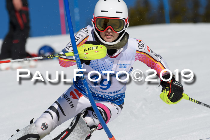 SVM U14/U16 Slalom 17.02.2019