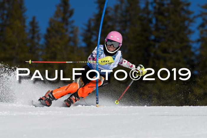 SVM U14/U16 Slalom 17.02.2019