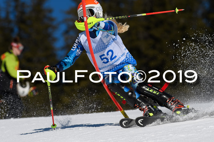 SVM U14/U16 Slalom 17.02.2019