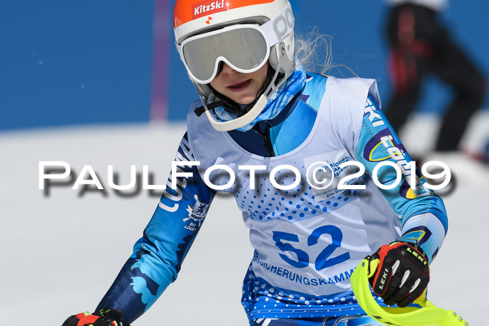 SVM U14/U16 Slalom 17.02.2019