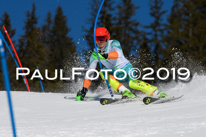 SVM U14/U16 Slalom 17.02.2019