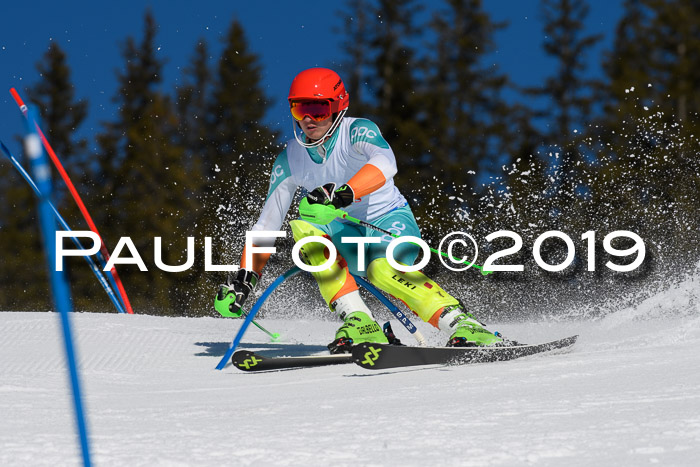 SVM U14/U16 Slalom 17.02.2019