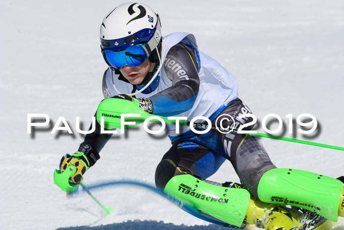 SVM U14/U16 Slalom 17.02.2019