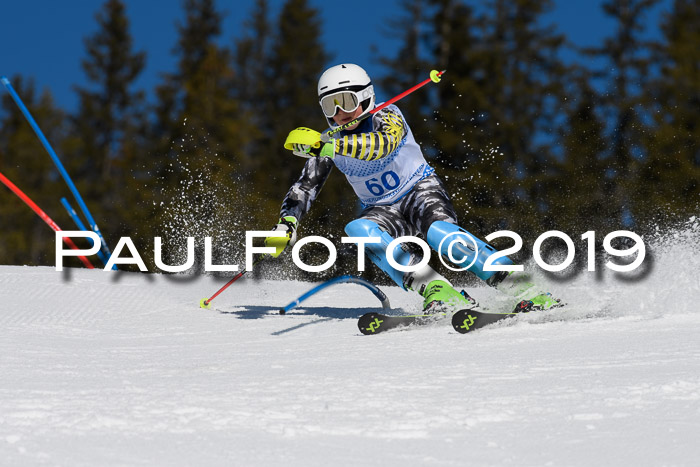 SVM U14/U16 Slalom 17.02.2019