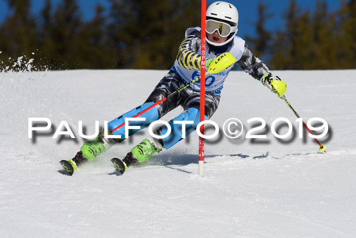 SVM U14/U16 Slalom 17.02.2019