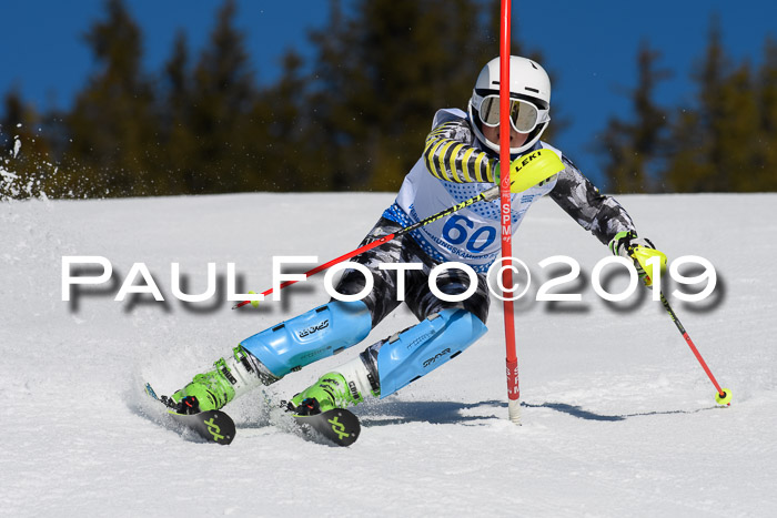SVM U14/U16 Slalom 17.02.2019