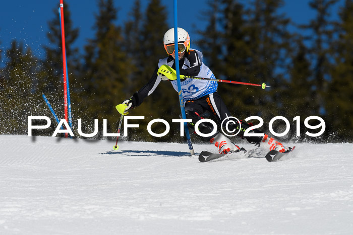 SVM U14/U16 Slalom 17.02.2019