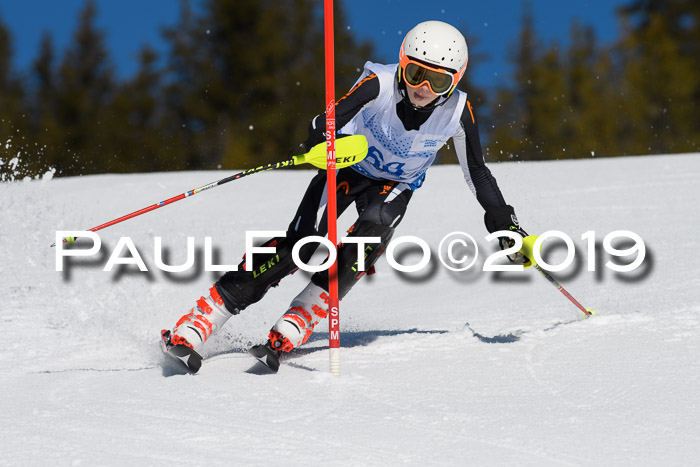 SVM U14/U16 Slalom 17.02.2019