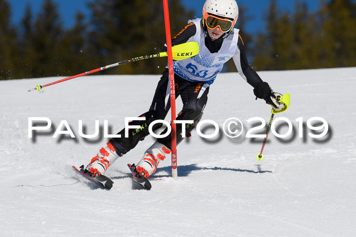 SVM U14/U16 Slalom 17.02.2019