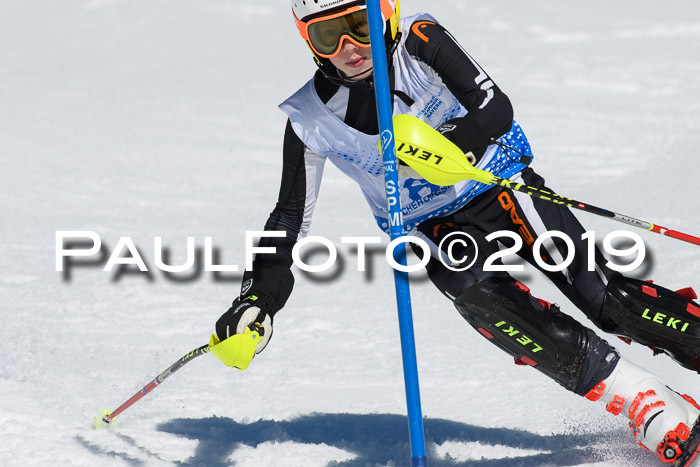 SVM U14/U16 Slalom 17.02.2019