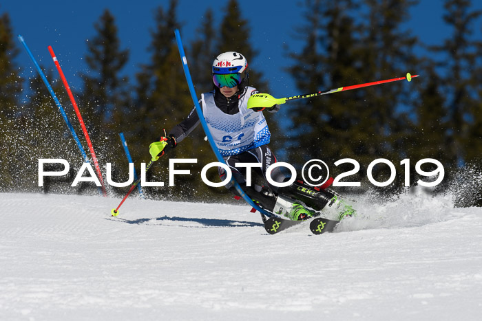SVM U14/U16 Slalom 17.02.2019