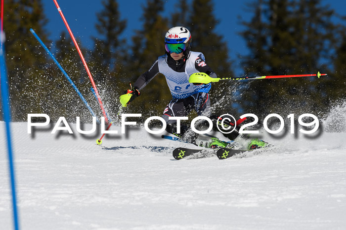 SVM U14/U16 Slalom 17.02.2019