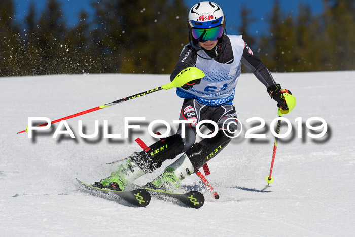 SVM U14/U16 Slalom 17.02.2019