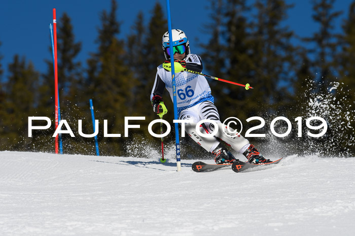 SVM U14/U16 Slalom 17.02.2019