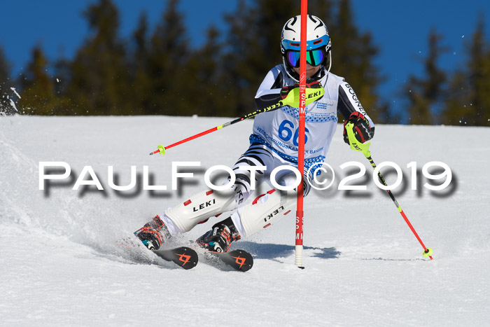 SVM U14/U16 Slalom 17.02.2019