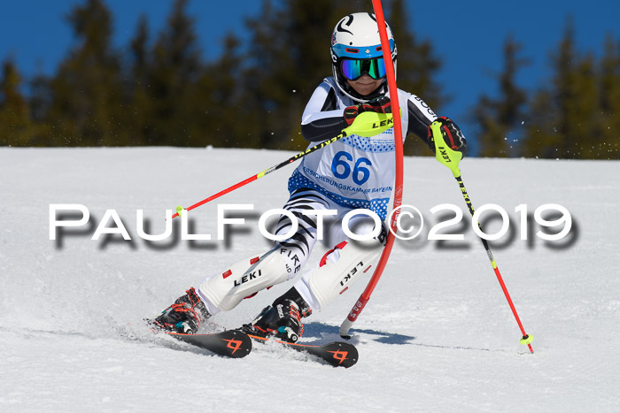 SVM U14/U16 Slalom 17.02.2019